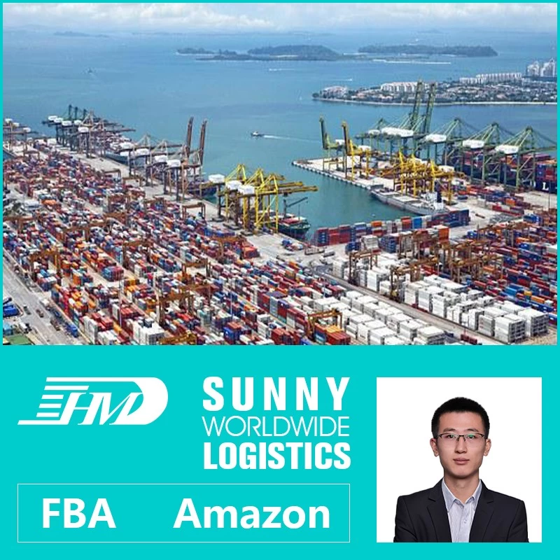 Chine swwls expédition par mer ddp de Qingdao Shanghai aux États-Unis Miami LA LB agent de transport maritime fabricant