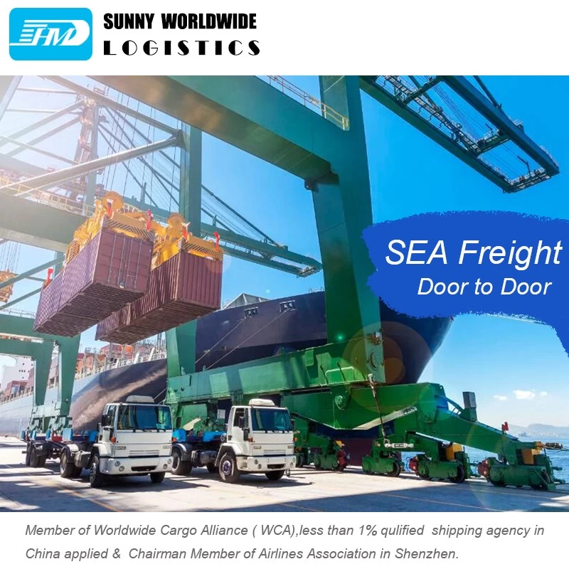 Chine Transitaire de fret maritime de la Chine vers l'agent maritime des États-Unis fabricant