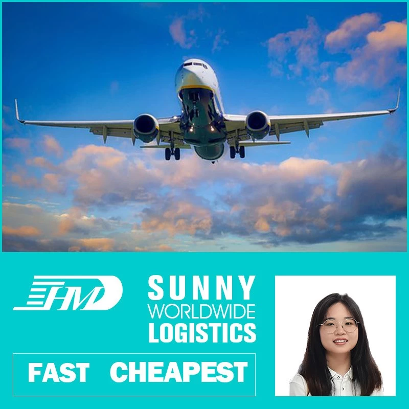 China SWWLS Air Freight Cargo Agent Forwarder Air Shipping To Brazil From Shenzhen Shipping Agent Freight Forwarder