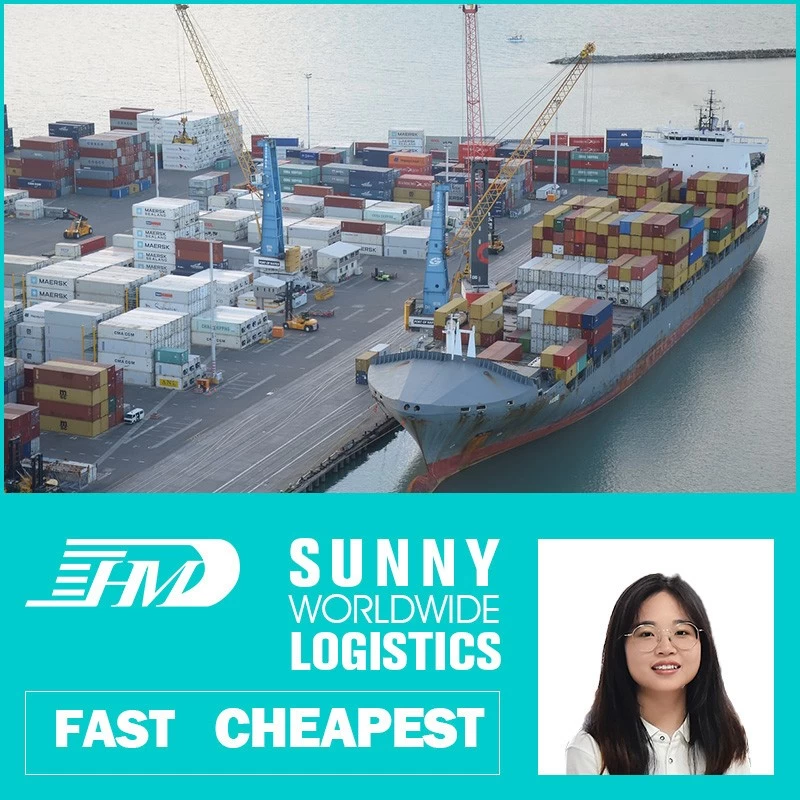 China swwls Experience Services LCL sea shipping agent from china to israel Freight Forwarder