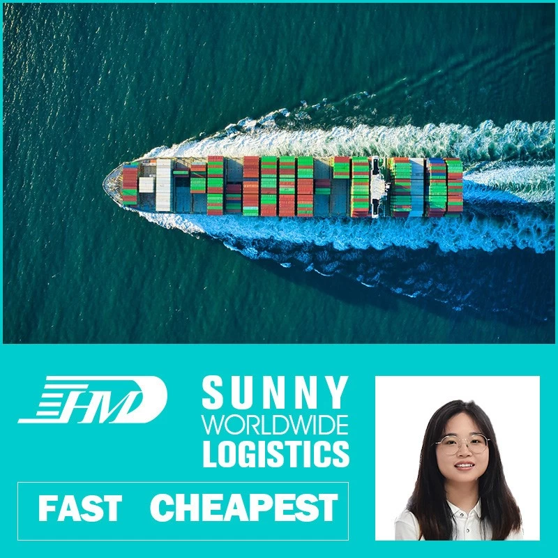 porcelana SWWLS Freight Reengers de China a Europa Puerta a puerta Envío aéreo DDP DDP Warehouse en Shenzhen Reenvío de carga