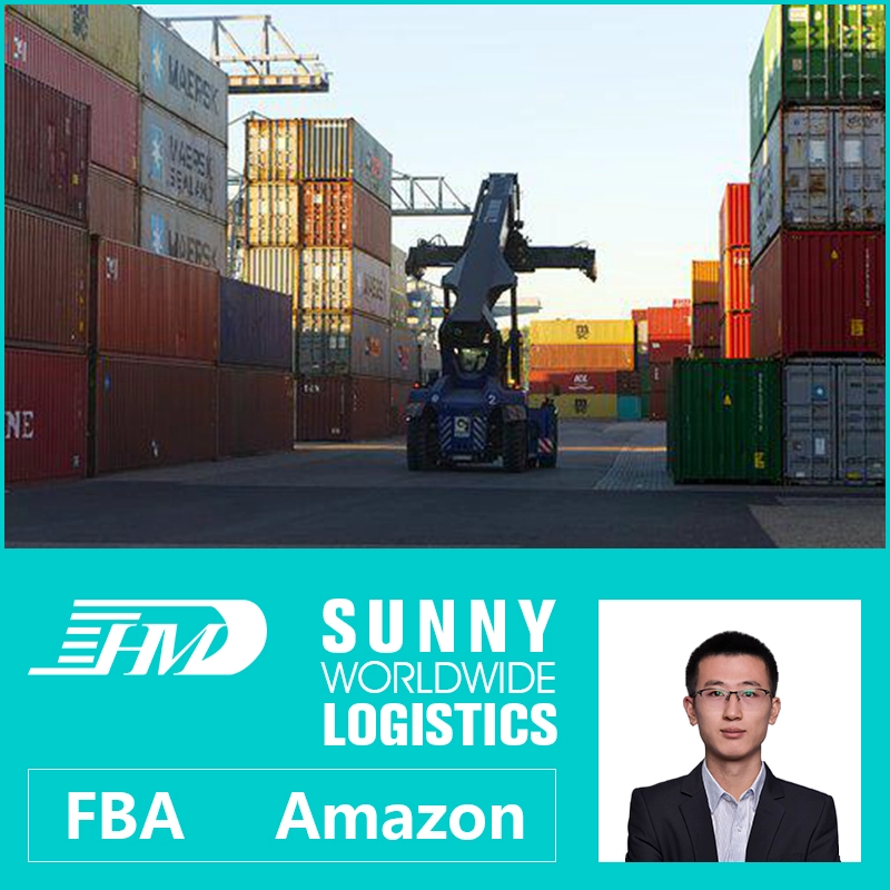 China Swwls sea shipping agent from China to Netherlands streetwear shipping Freight Forwarder