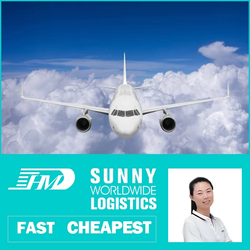 China sea freight shipping companies, international shipping by sea, sea freight shipping costs manufacturer