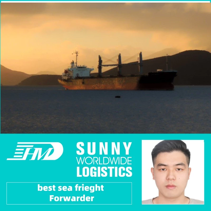 Chine Transitaire de fret maritime de la Chine vers l'Arabie Saoudite fabricant
