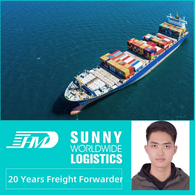 porcelana Freight Freight Reengueer experimentó envío de dropshipps a Nairobi Kenia de Shenzhen/Guangzhou Reenvío de carga