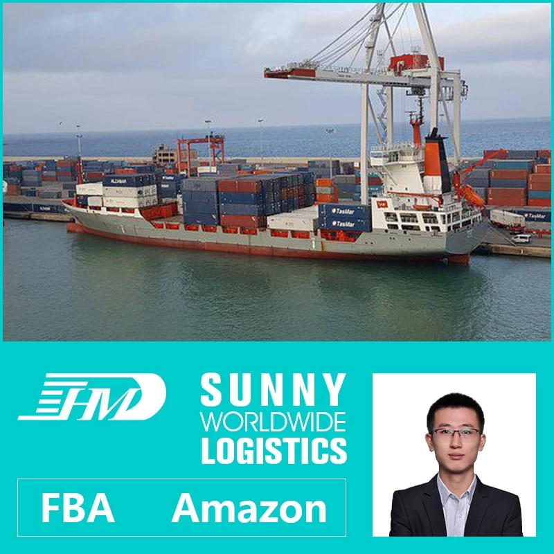 China Swwls Sea freight forwarder shipping from china to France ocean shipping from china FCL container manufacturer