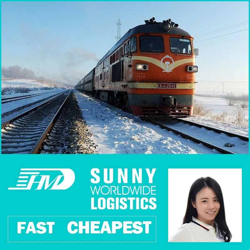 Chine Service de fret d'expédition de train de transitaire ferroviaire Chine vers l'Europe DDP DDU fabricant
