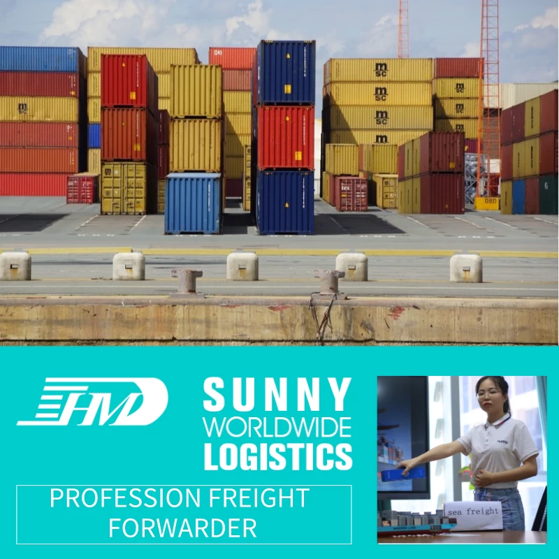 porcelana Sunny Worldwide Logistics Company servicio de envío marítimo económico desde China a Malasia Reenvío de carga