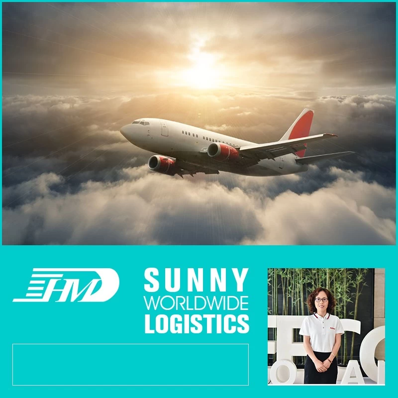 Chine Tarifs de transport aérien de Shenzhen en Chine à Manille Philippines Fret de transport aérien fabricant