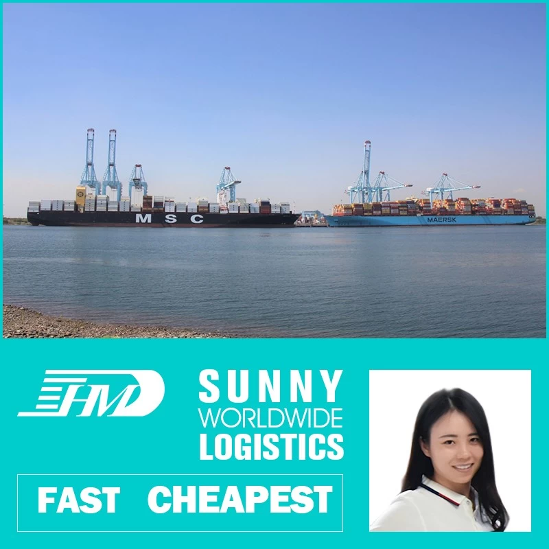 China swwls Cheapest Ocean Shipping International Freight Forwarder Sea Freight To Mexico manufacturer