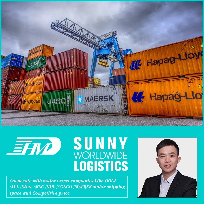 China Ocean freight forwarder from Shenzhen China to La Paz  Bolivia sea shipping agent manufacturer