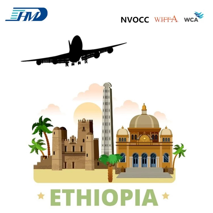 Chine swwls service de fret professionnel expédition de fret aérien vers ababa ethiopie depuis la chine fabricant