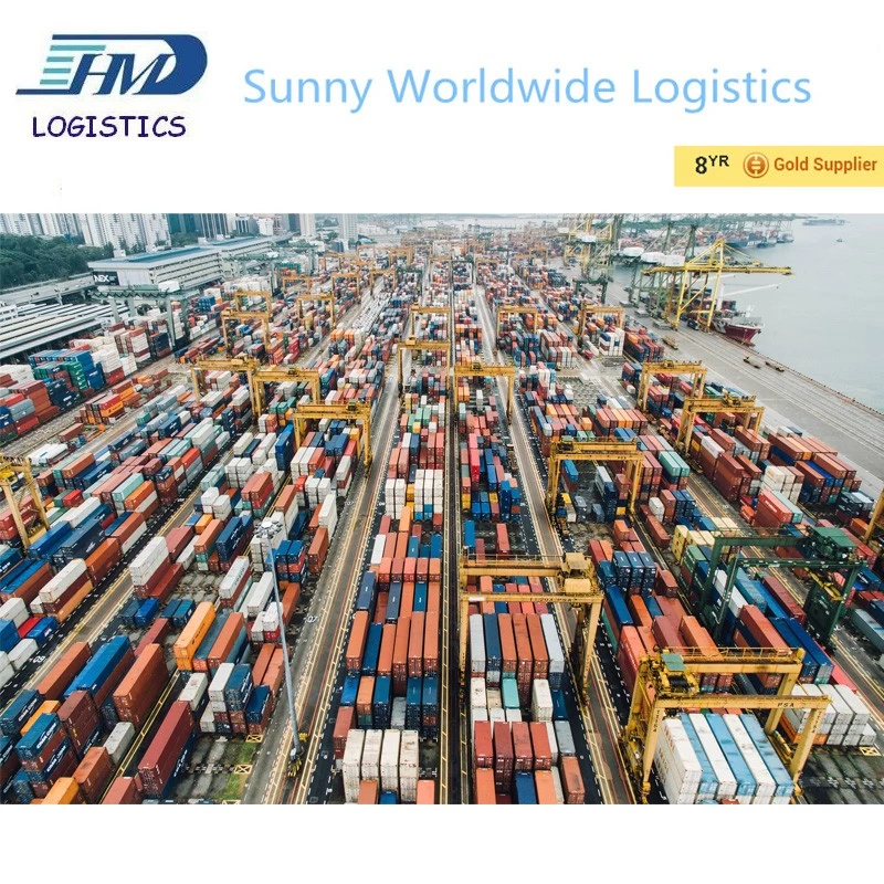 China From Shenzhen China freight to Sweden freight forwarder sea freight manufacturer