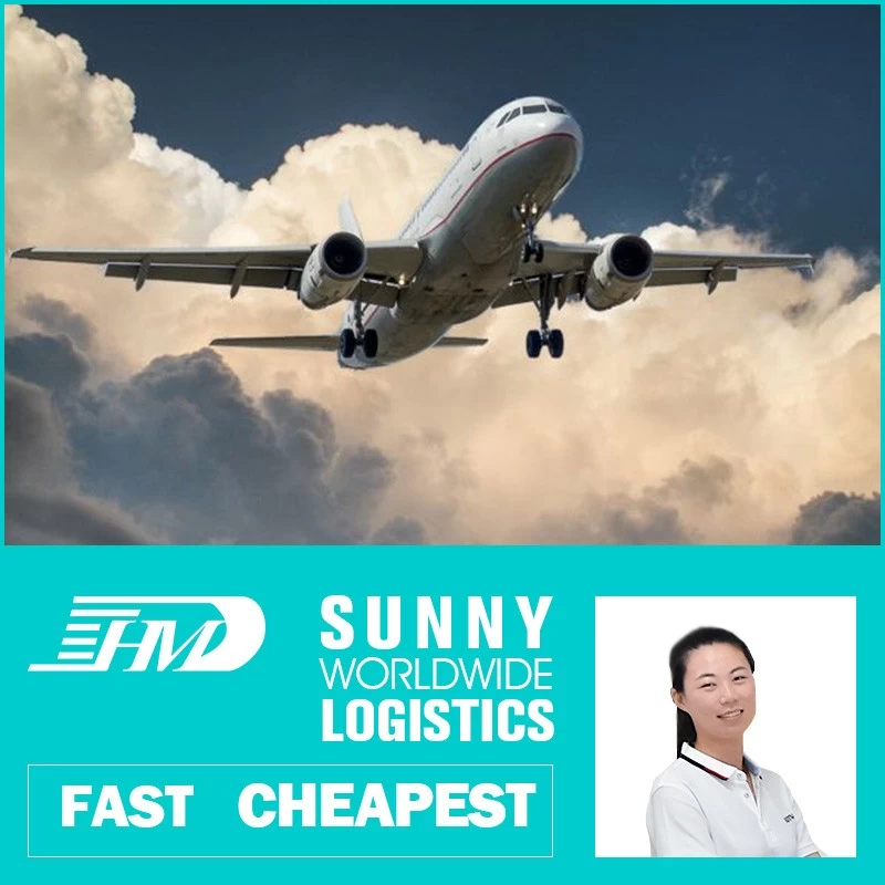 porcelana swwls Transportista aéreo profesional puerta a puerta lcl fcl a venezuela Bolivia Uruguay Surinam Bonaire Reenvío de carga
