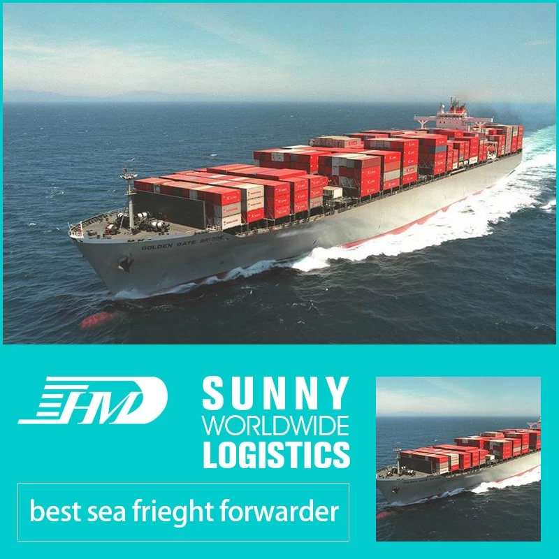 China door to door sea freight forwarder to USA sea freight to USA ddp ddu service manufacturer