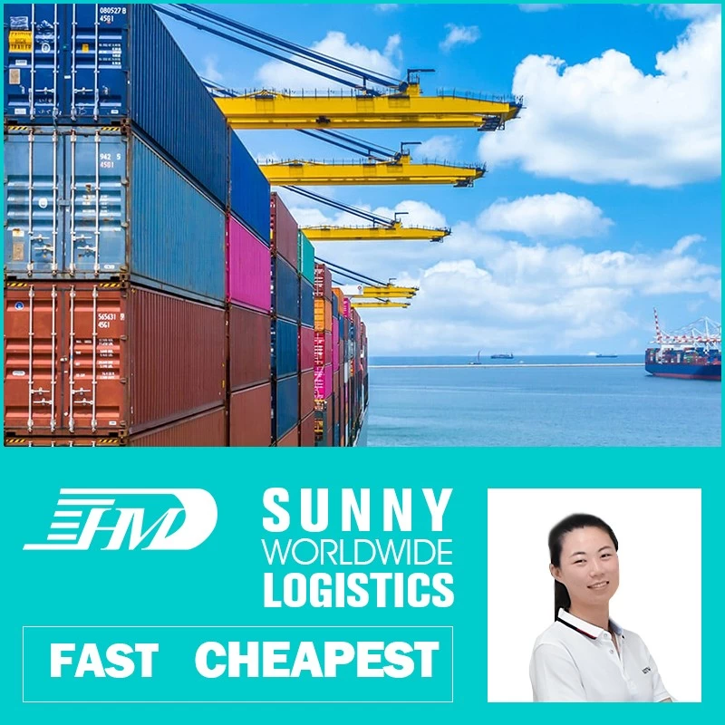 China Swwls Sea freight forwarder shipping from china to UK ocean shipping from china FCL container manufacturer