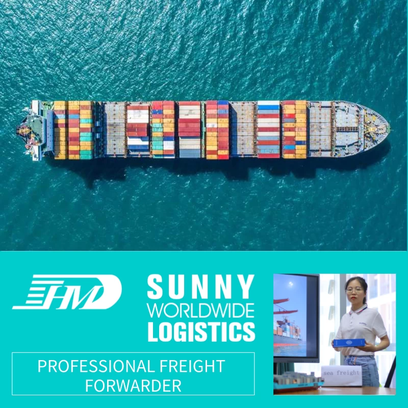 China sunny worldwide logistics company freight forwarder ocean shipping service LCL FCL from China to Australia manufacturer