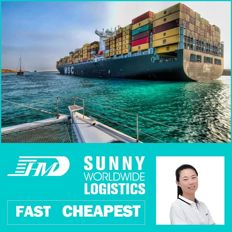 China Swwls Sea freight forwarder shipping from china to Australia ocean shipping from china FCL container manufacturer