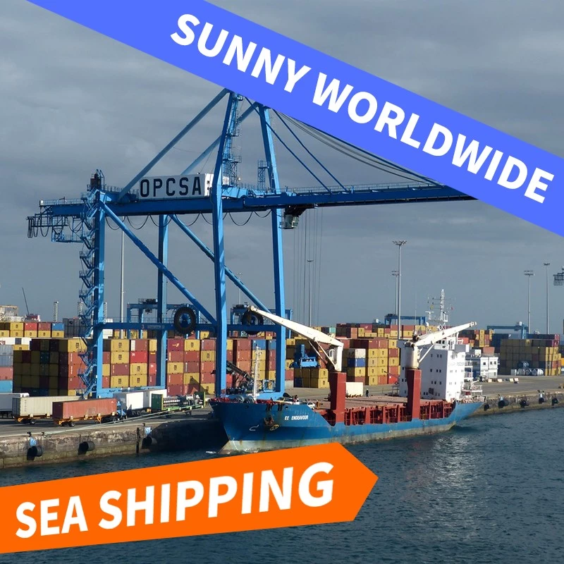 China Professional DDU DDP shipping agent to from China by sea air express to worldwide manufacturer