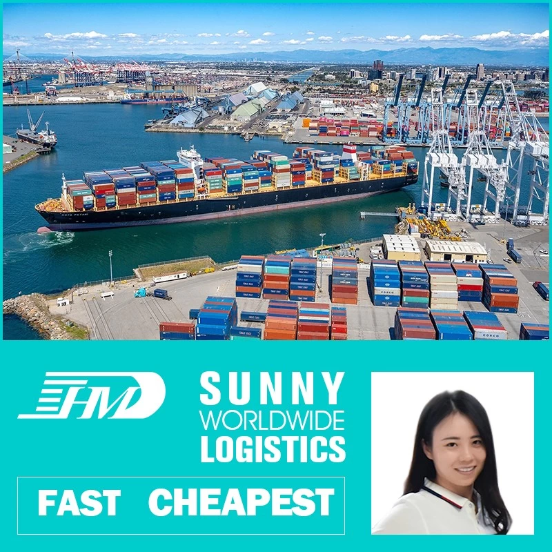 China Swwls Door To Door Sea Shipping China To Malaysia DDU 20GP 40GP FCL Container Cargo Shipping Services manufacturer