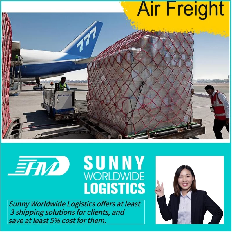 China forwarding from china sea freight to new zealand, sea freight to usa, sea freight shipping from china to kuwait Freight Forwarder