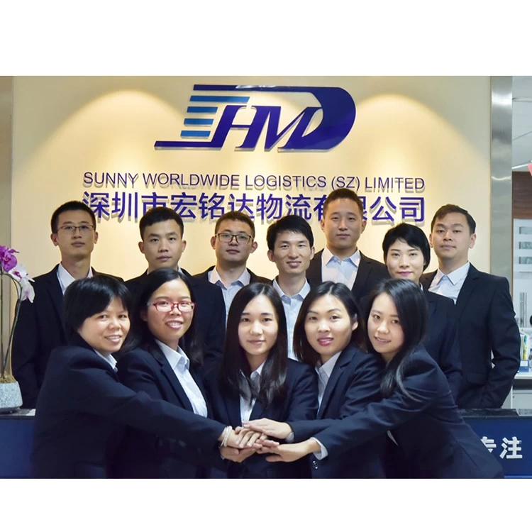 Chine swwls Service de livraison porte à porte de la Chine vers la Roumanie transport aérien transitaire transport de marchandises fabricant