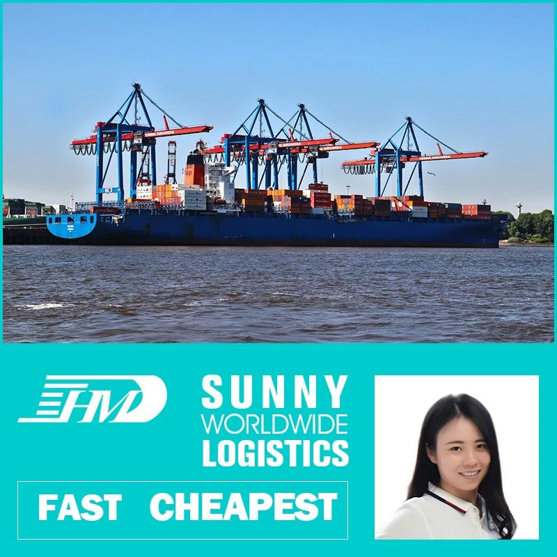 porcelana Envío marítimo de Swwls desde China a Brasil, envío marítimo desde el contenedor FCL de China Reenvío de carga
