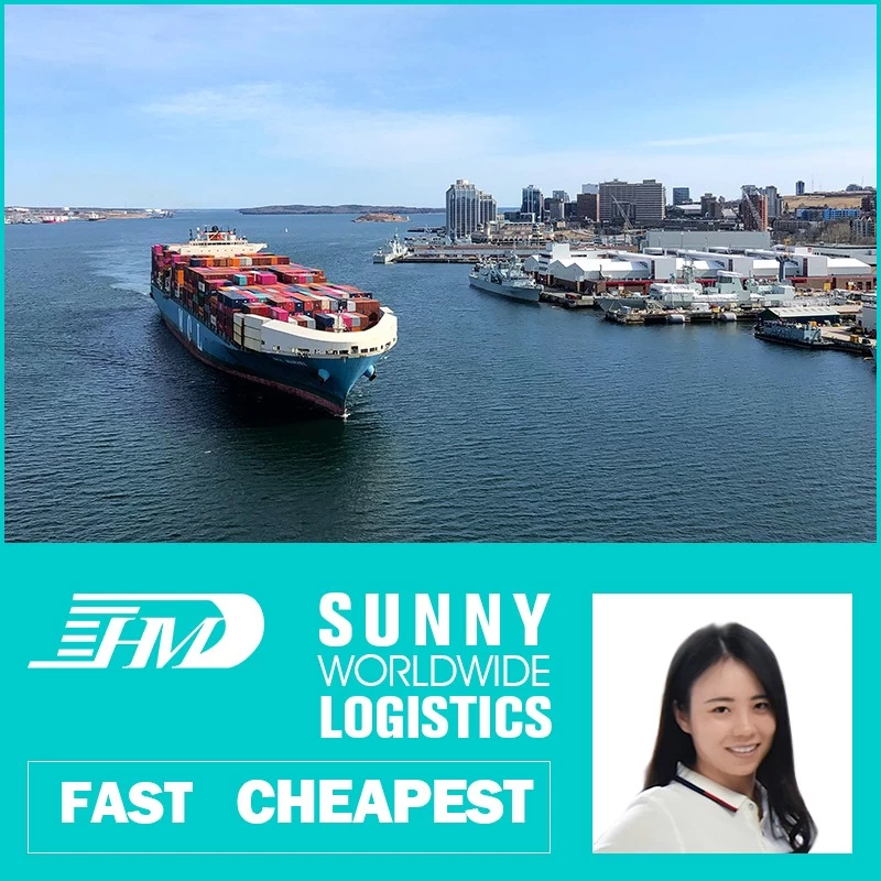 China Swwls Sea shipping from guangzhou china to Europe logistics services door to door Promotion agent sea freight forwarder manufacturer
