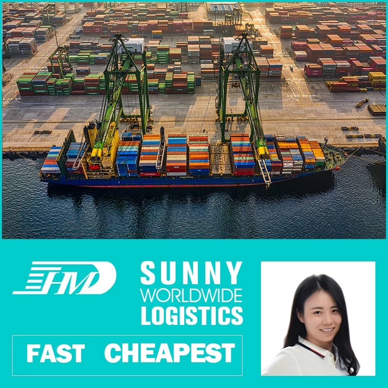 China Swwls Sea freight forwarder shipping from china to Australia ocean shipping from china FCL container manufacturer