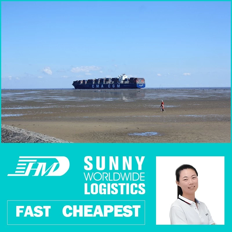 China Swwls Sea freight forwarder shipping from china to France ocean shipping from china FCL container manufacturer