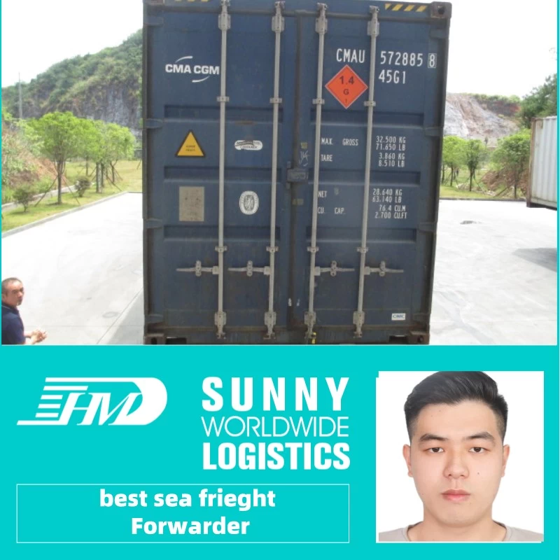 Chine Transitaire de transport maritime de la Chine vers Alger Algérie service de livraison porte à porte dédouanement fabricant