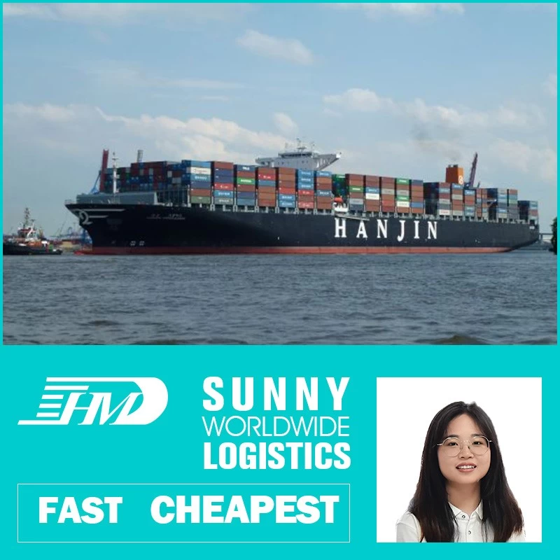 China swwls air forwarding port air sea freight sea freight forwarder shipping ddu ddp service manufacturer