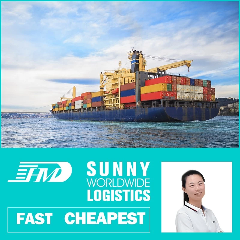 China Swwls Ocean freight forwarder 20GP 40GP door to door China to Brazil DDU container shipping logistics services manufacturer