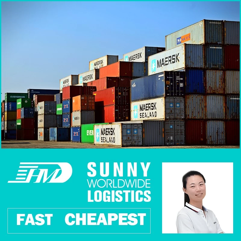 Chine swwls Du transitaire maritime de Chine vers les Émirats arabes unis Dubaï avec un service porte à porte fabricant