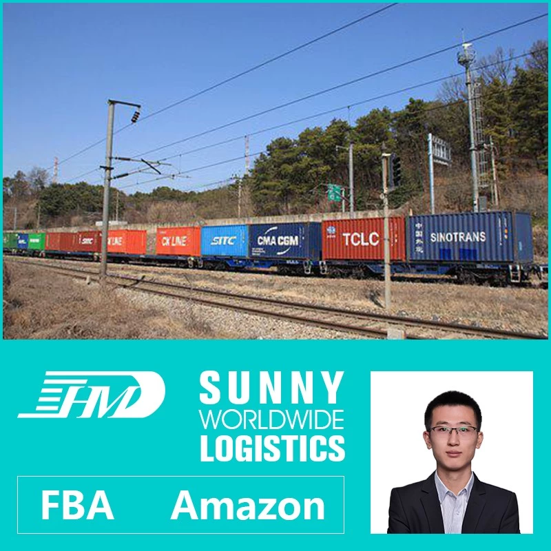 Chine swwls expédition par mer ddp de Qingdao Shanghai aux États-Unis Miami LA LB agent de transport maritime fabricant