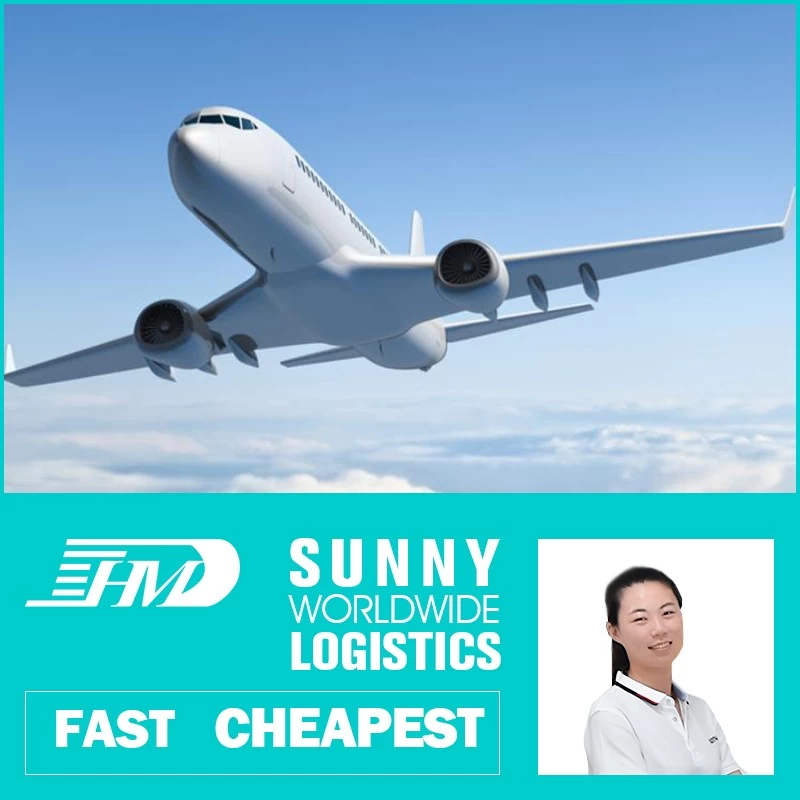 China Swwls Air Freight Cargo Agent Forwarder Air Shipping To France From Shenzhen Shipping Agent manufacturer