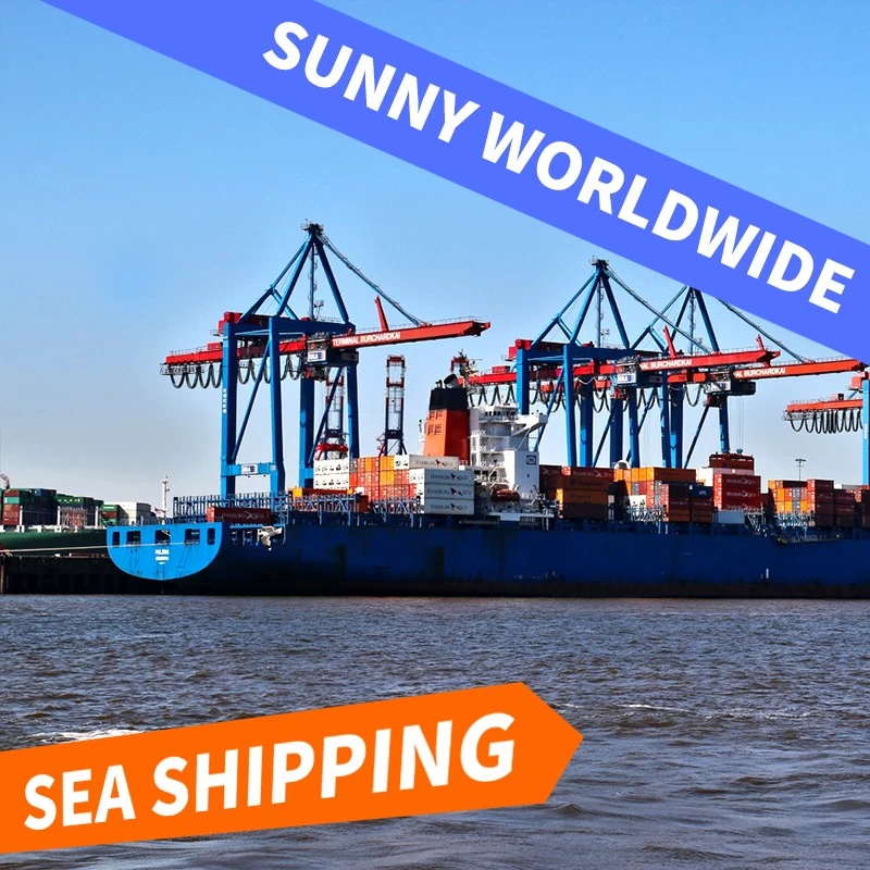 China Freight Forwarder Agent Shipping From China By Sea to USA manufacturer
