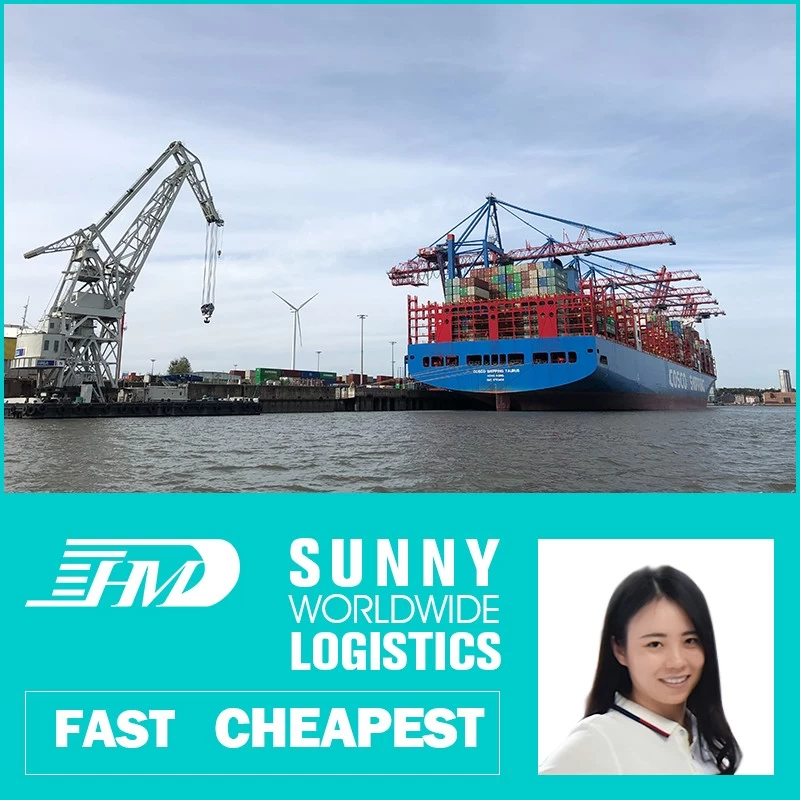 porcelana Envío marítimo de Swwls desde China a Malasia, envío marítimo desde el contenedor FCL de China Reenvío de carga