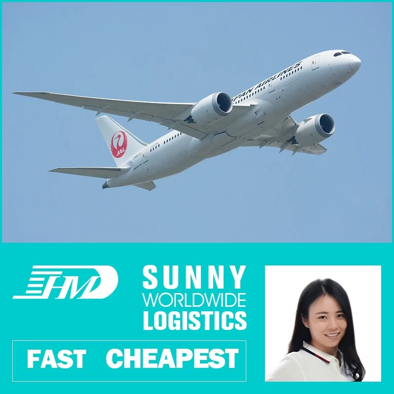 Китай Air Shipping Agent SWWLS от Китая до Мальдивских Услуг MLE MLE MLE MLE DOOR Форгар