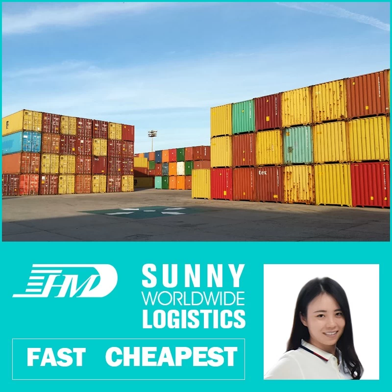 China swwls Cheapest Ocean Shipping International Freight Forwarder Sea Freight To Mexico manufacturer