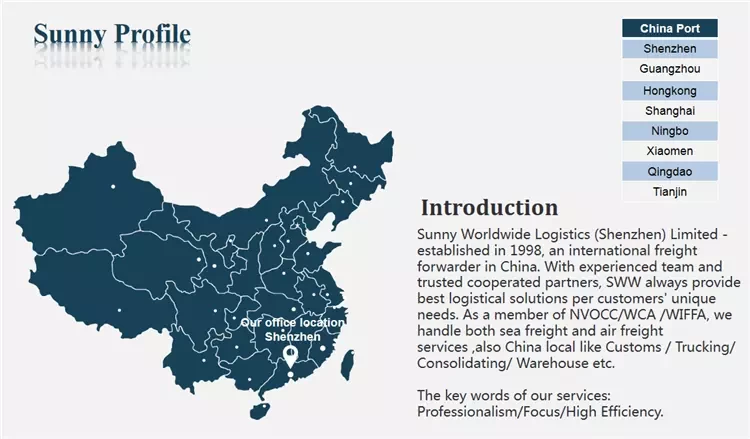 Chine Fret maritime de la Chine à Antalya Turquie service de livraison porte à porte dédouanement fabricant