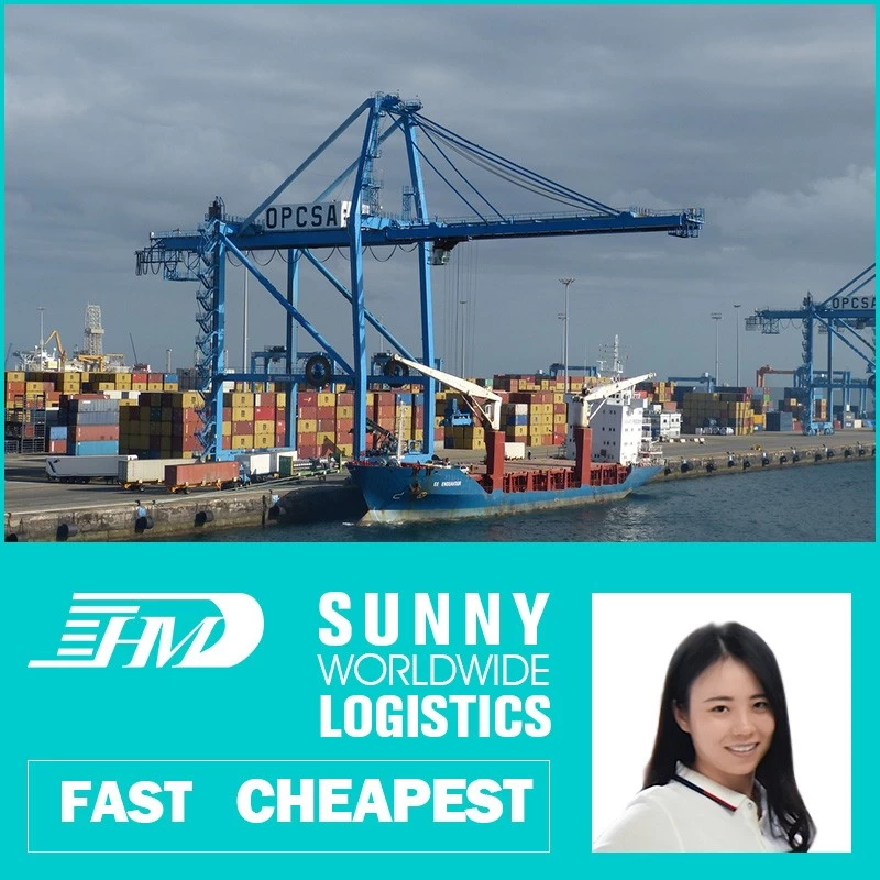 China Swwls Sea freight forwarder shipping from china to UK ocean shipping from china FCL container manufacturer