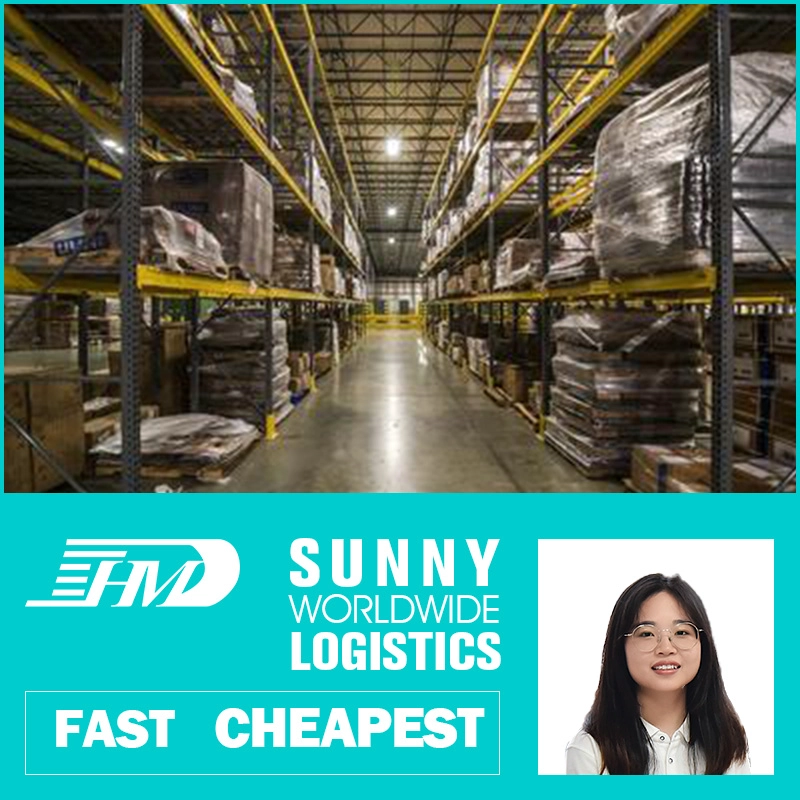China swwls Sea freight forwarders from Shanghai to the Germany for overs T shirt ddp ddu Freight Forwarder