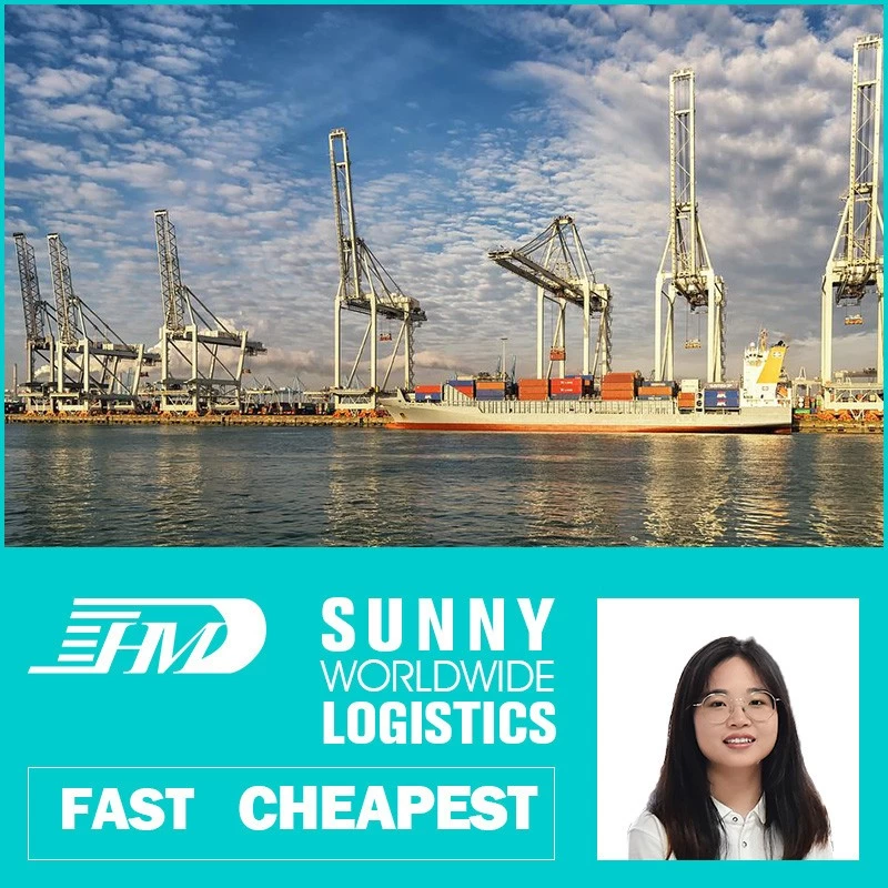 China Swwls Sea Freight From China To Poland LCL Logistics Services Door To Door company manufacturer