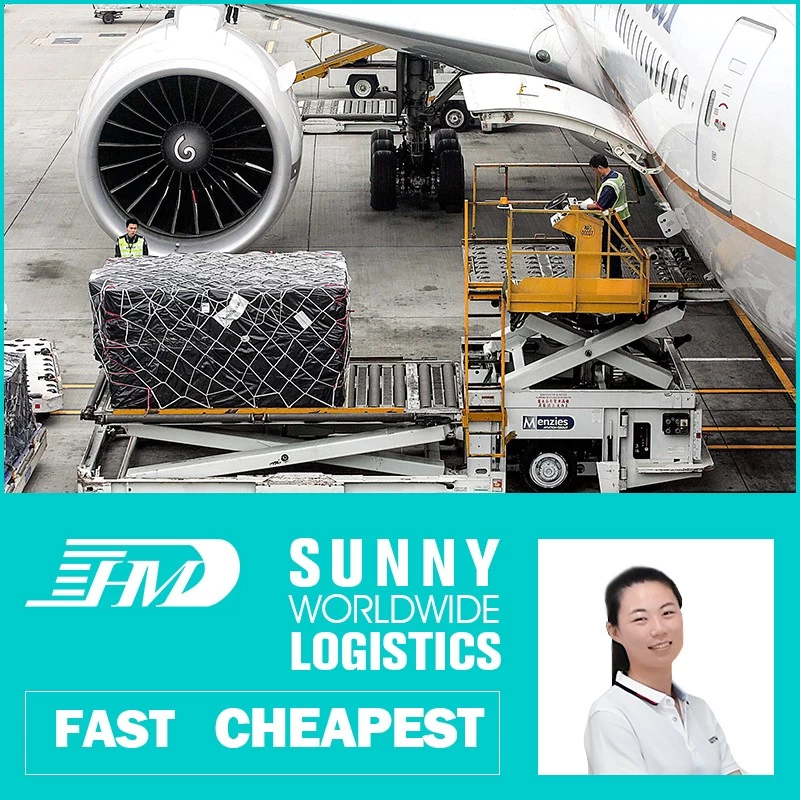 Chine L'agent transitaire professionnel Swwls offre un bon service de transport aérien de la Chine vers les Pays-Bas fabricant