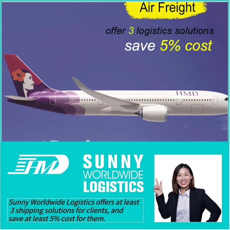 China forwarding from china sea freight to new zealand, sea freight to usa, sea freight shipping from china to kuwait Freight Forwarder