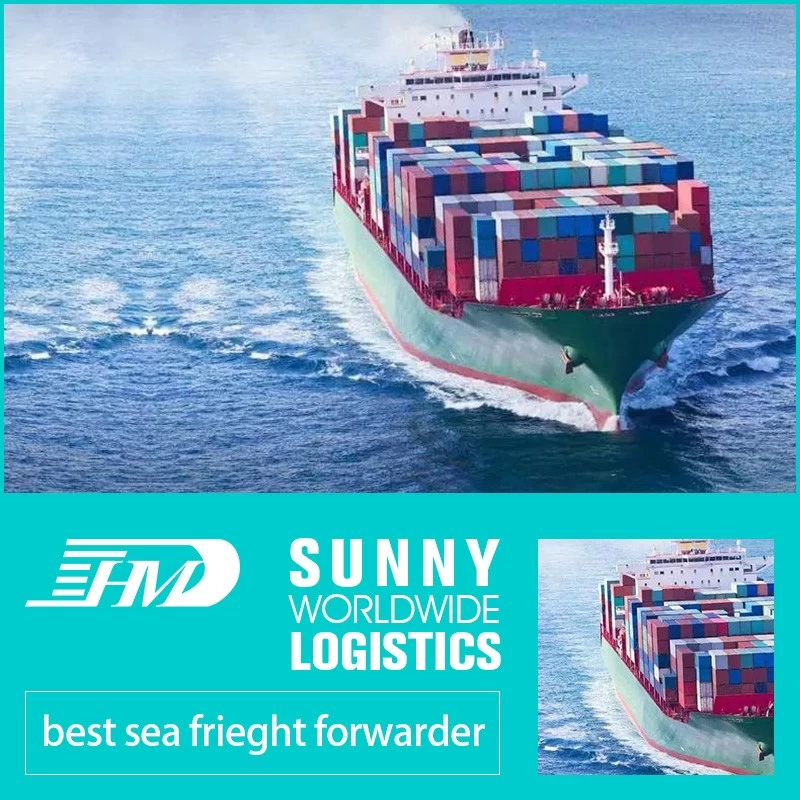 Chine Stockage en entrepôt de fourniture de fret maritime porte à porte, fret maritime de Chine, fret maritime vers l'Australie, du fret maritime de Chine à la Turquie Bahreïn Koweït fabricant