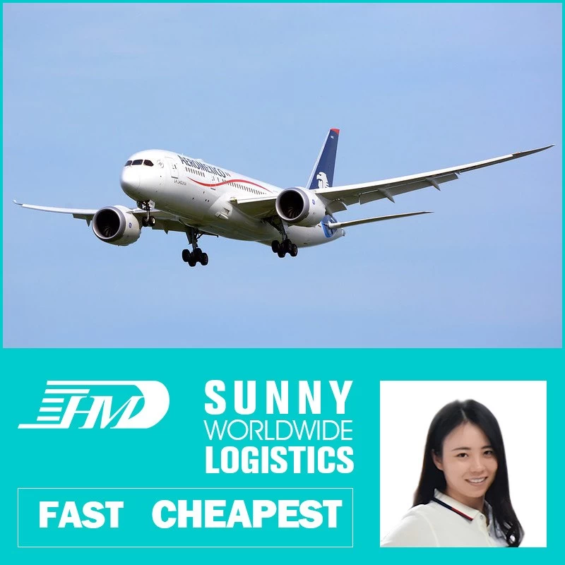 China Swwls Freight Forwarder Professional Shipping Agent Good Services from China toCanada by express air Freight Forwarder