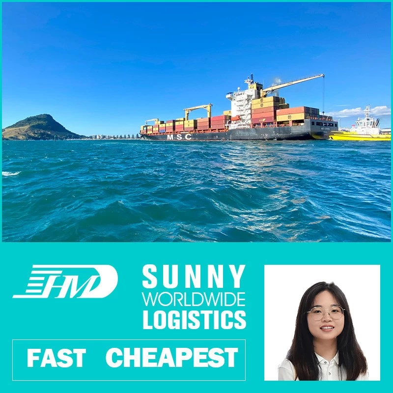 porcelana Envío marítimo Swwls desde China a Portugal envío marítimo desde contenedor FCL de China Reenvío de carga