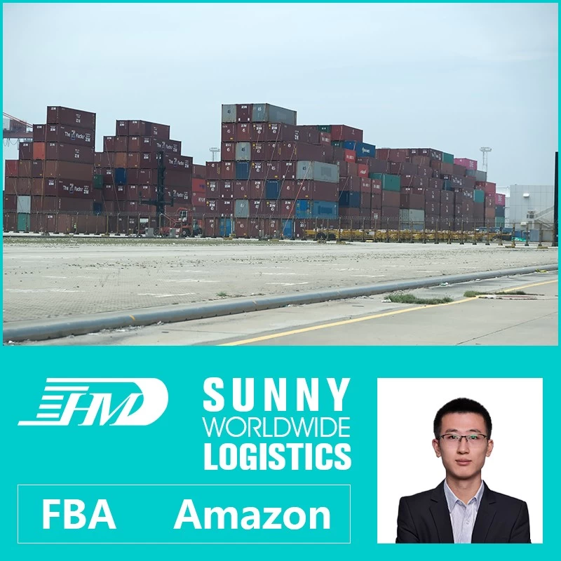 China swwls Door To Door service Fast sea Shipping From China shenzhen To Europe France UK Germany FCL LCL manufacturer